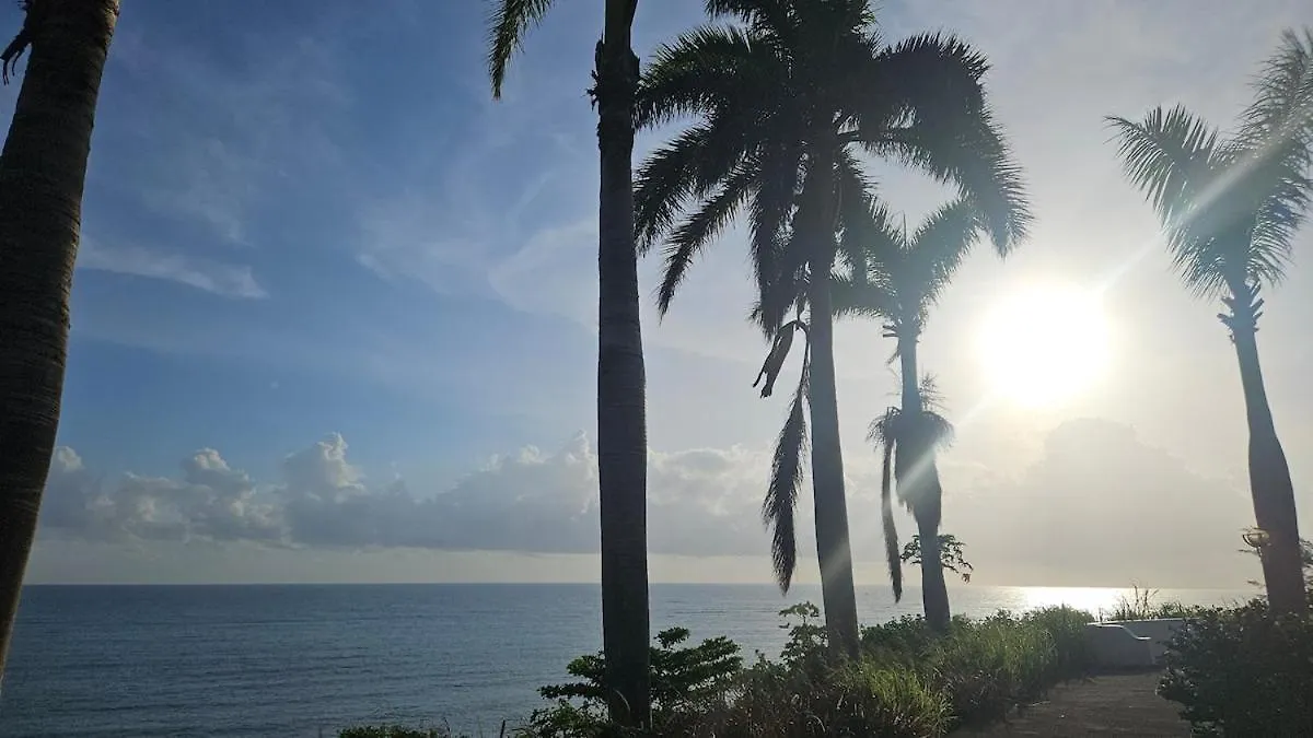 Penthouse With Loft At Seacastles, Beach And Pool 207 Montego Bay 0*,